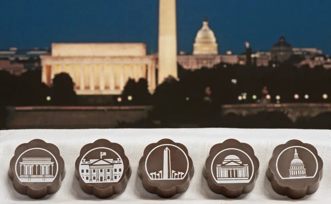 Washington DC and Cherry Blossom (Box of 5)