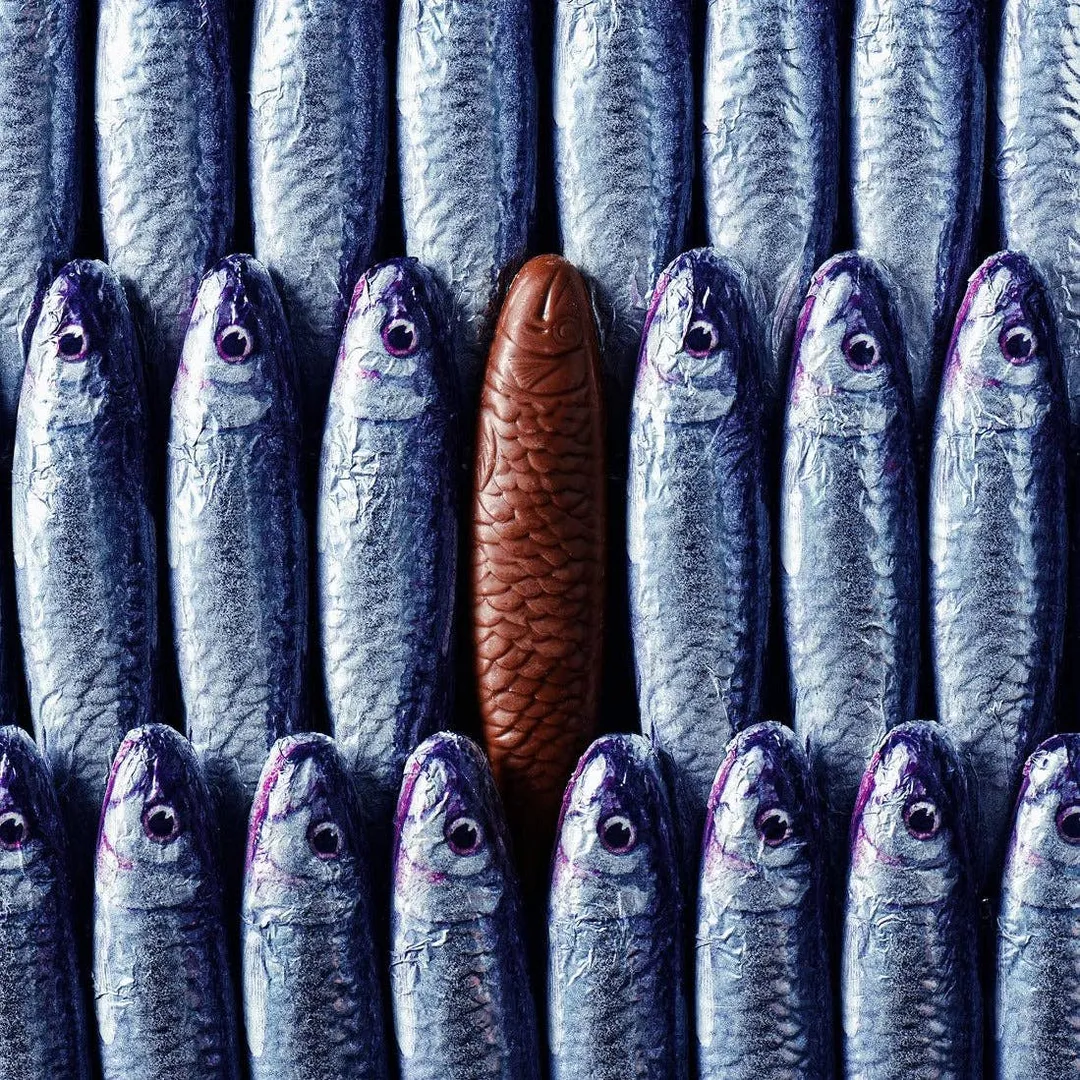 Chocolate Sardines, 5
