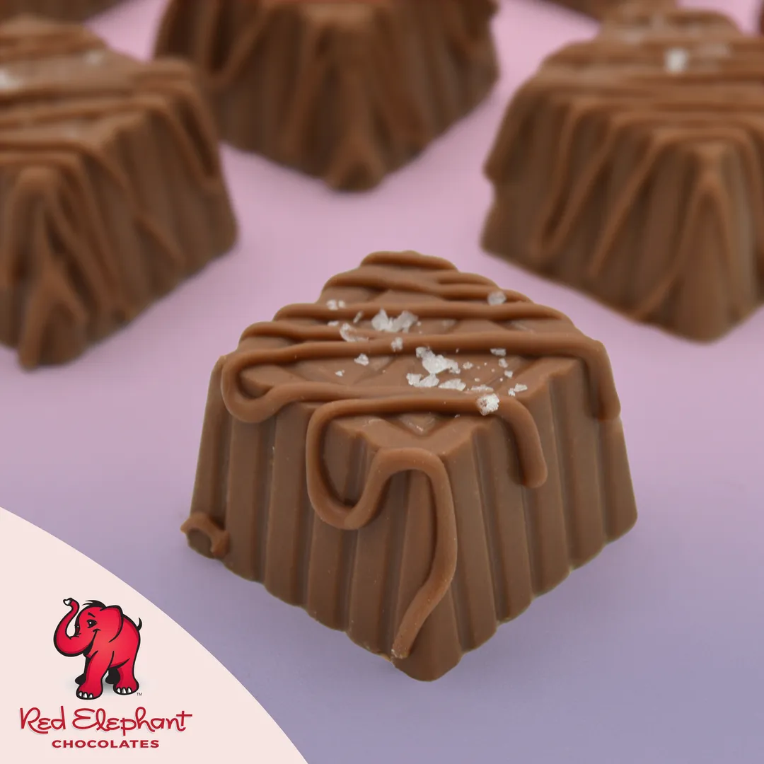 The Sea Salt Caramel Collection (4 piece) Milk