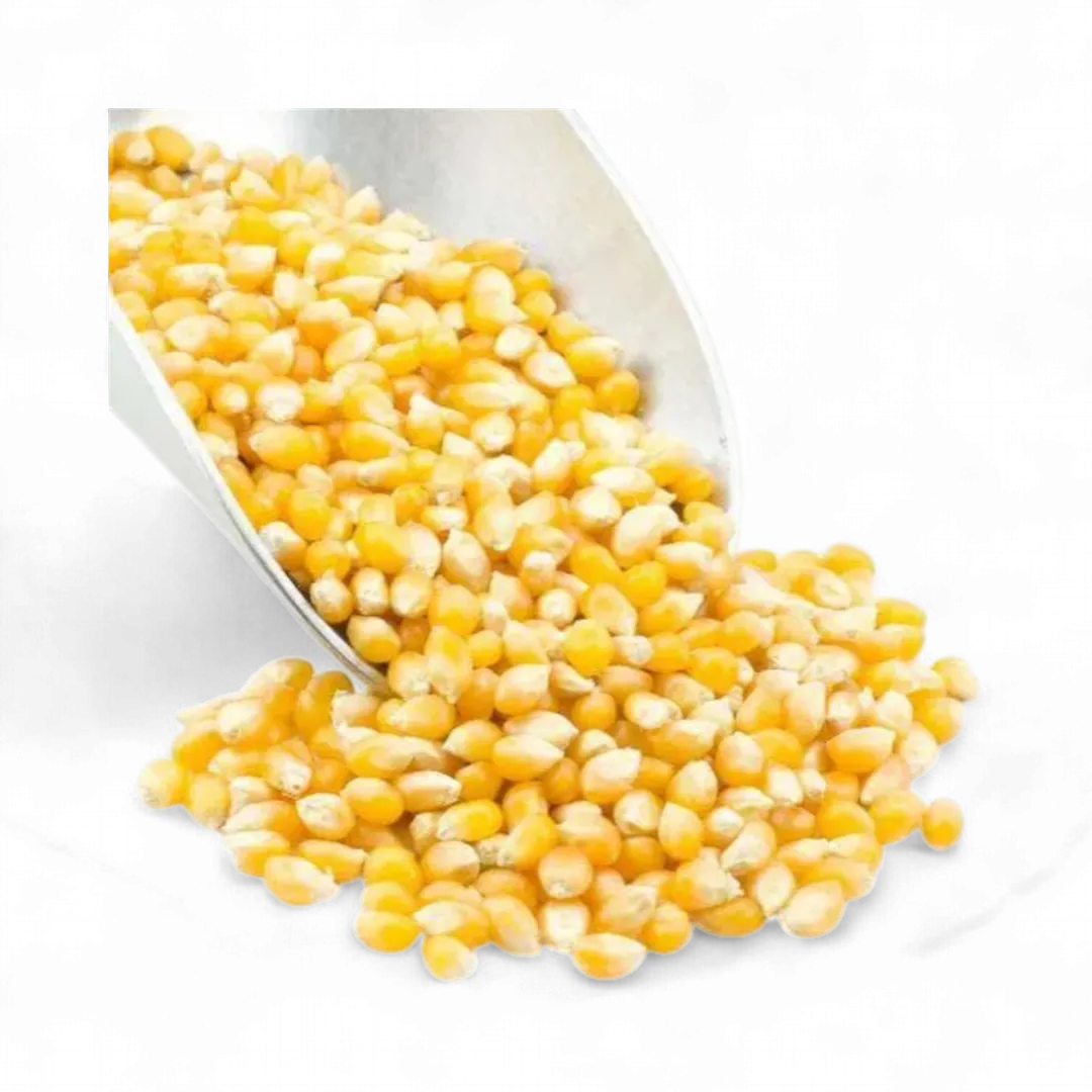 Popcorn, Yellow