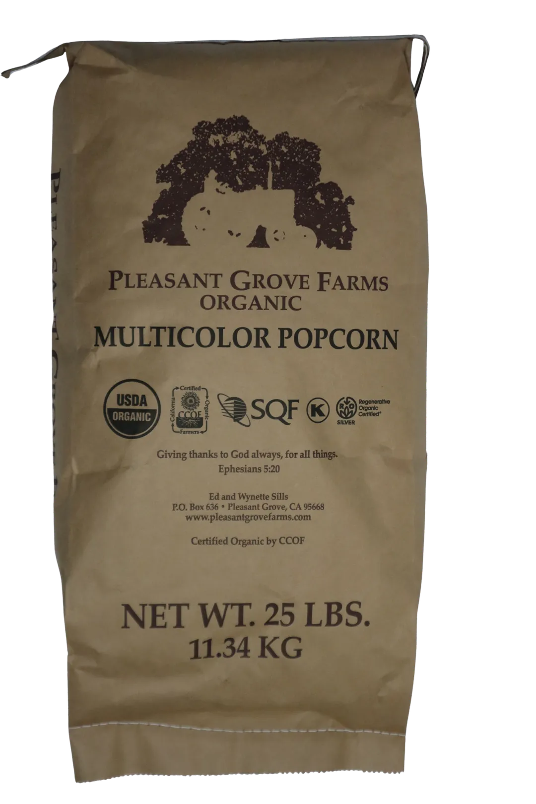 Popcorn, Multi-Color Organic