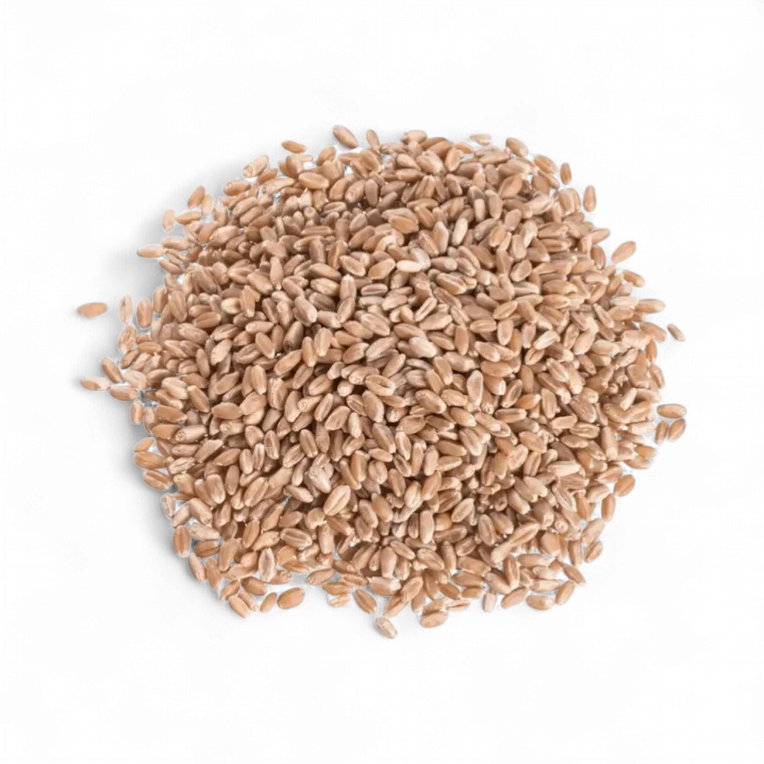 Wheat Berries, Hard Red, Organic