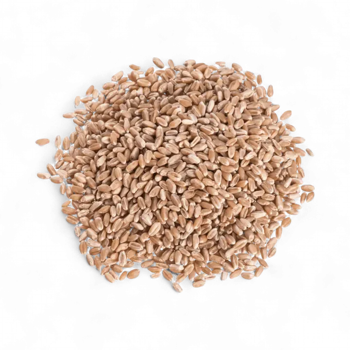 Wheat Berries, Hard Red, Spring Wheat variant