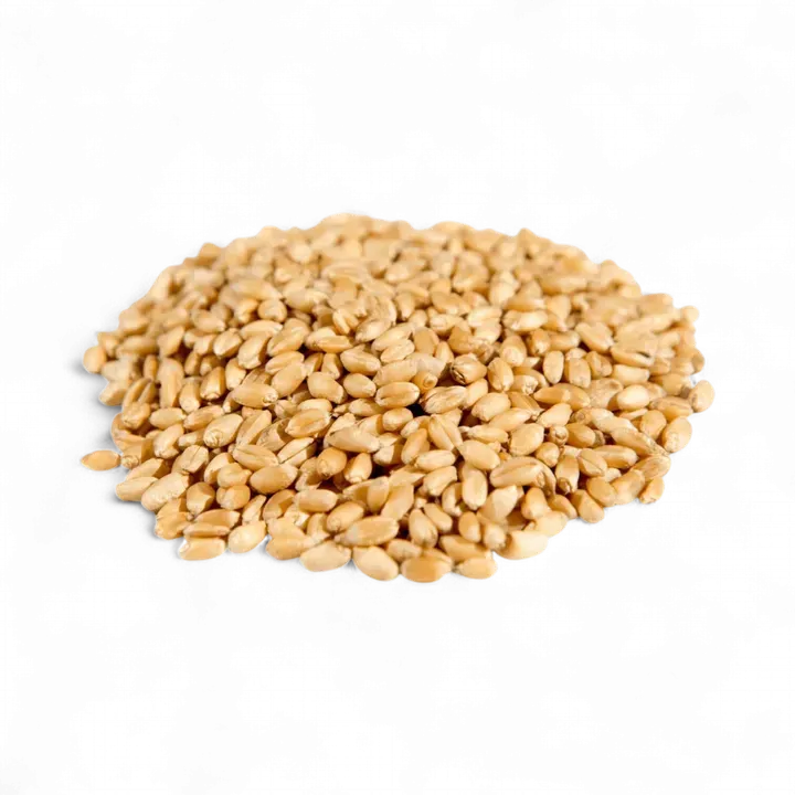 Wheat Berries, Hard White, Organic variant