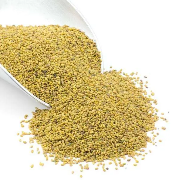 Alfalfa Seeds, Organic variant