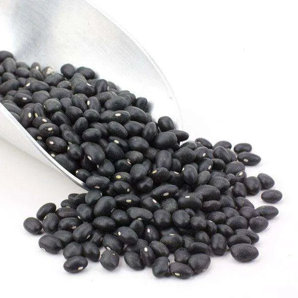 Black Turtle Beans, Organic (REDUCED PRICE! - Contains splits1# and 5# only) variant
