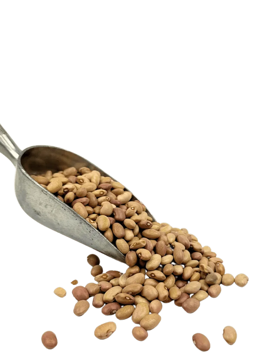 Bolita Beans variant