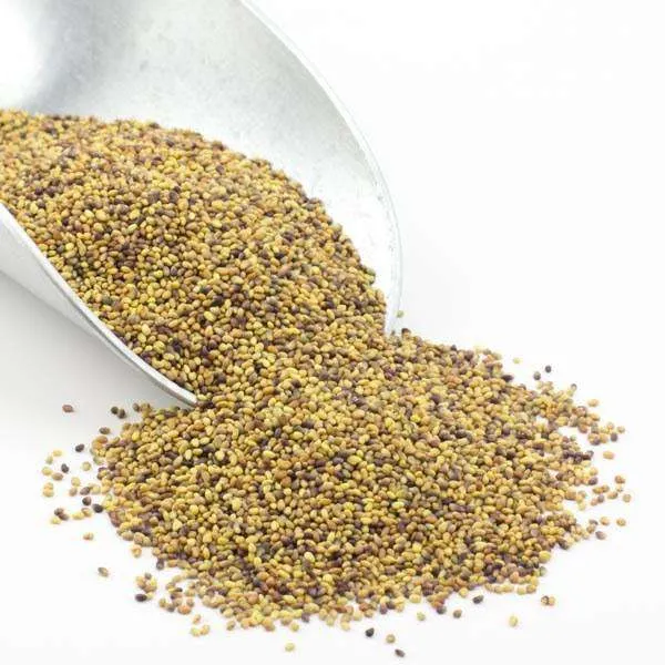 Clover Seeds, Red, Organic variant