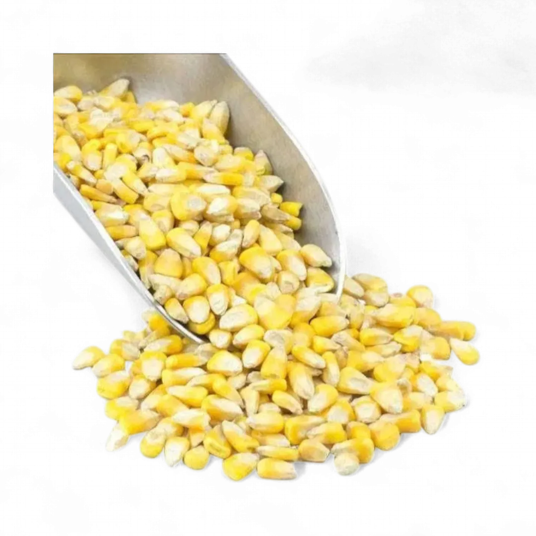 Corn, Whole Yellow, Organic