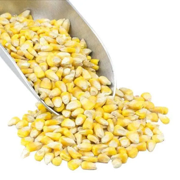 Corn, Whole Yellow, Organic variant