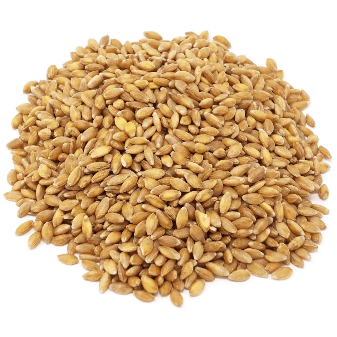Einkorn Berries, Organic variant