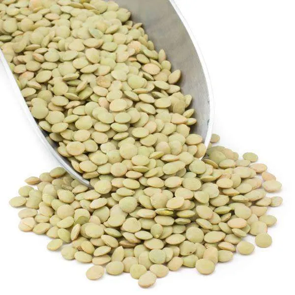Green Lentils, Organic variant
