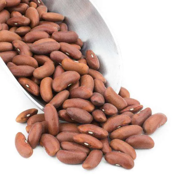 Kidney Beans, Light Red, Organic variant
