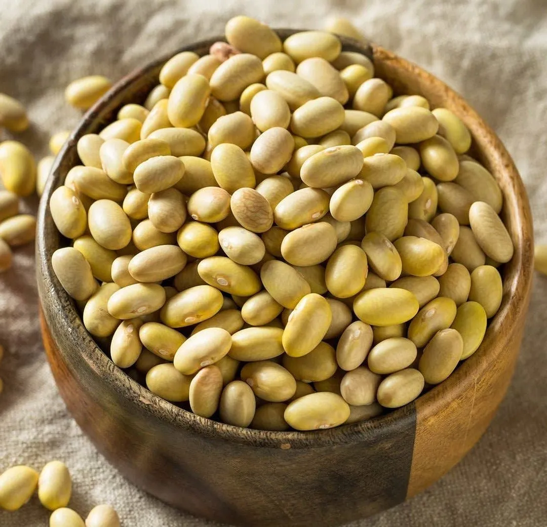 Mayocoba Beans variant