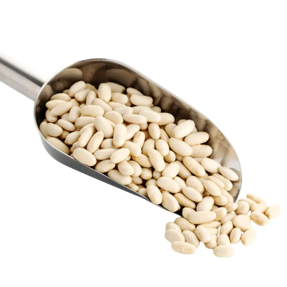 Navy Beans variant