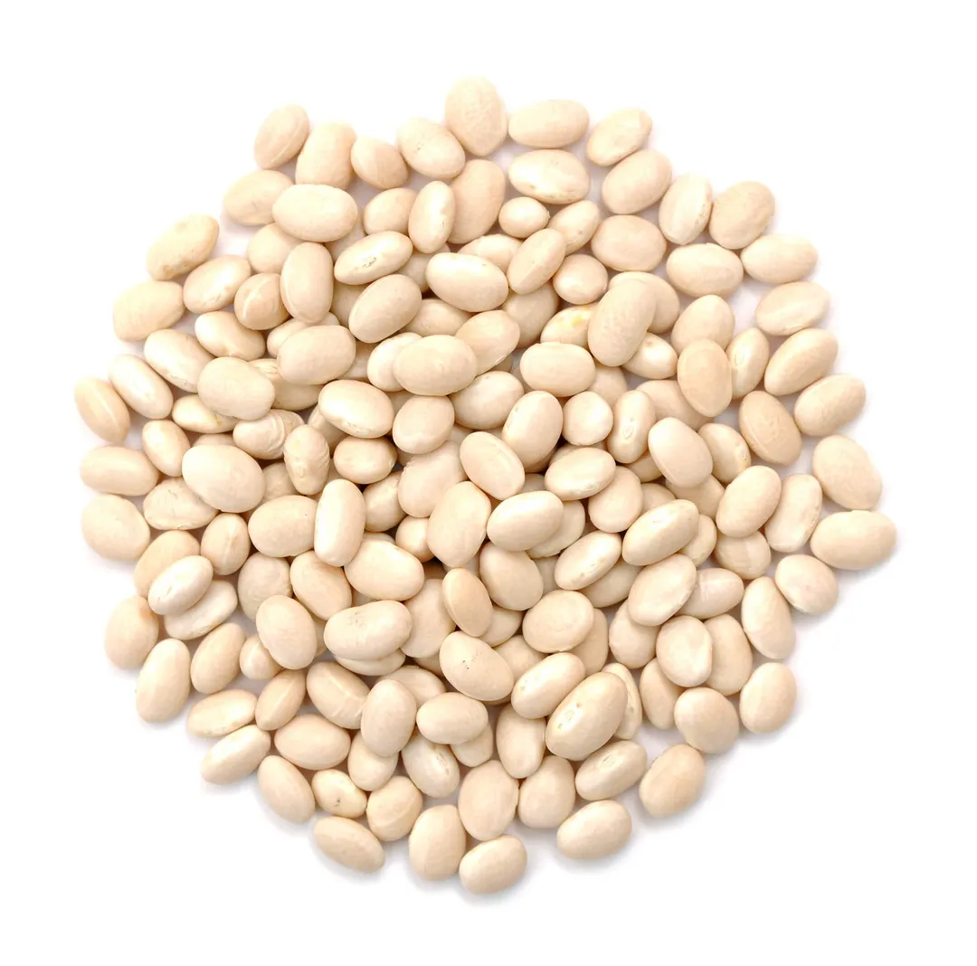 Navy Beans, Organic variant
