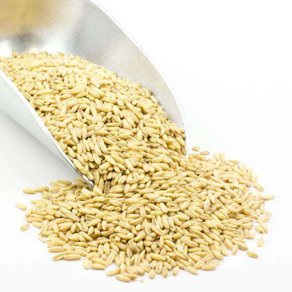 Oat Groats, Whole, Organic variant