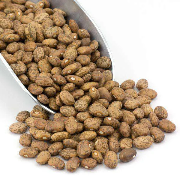 Pinto Beans, Organic variant