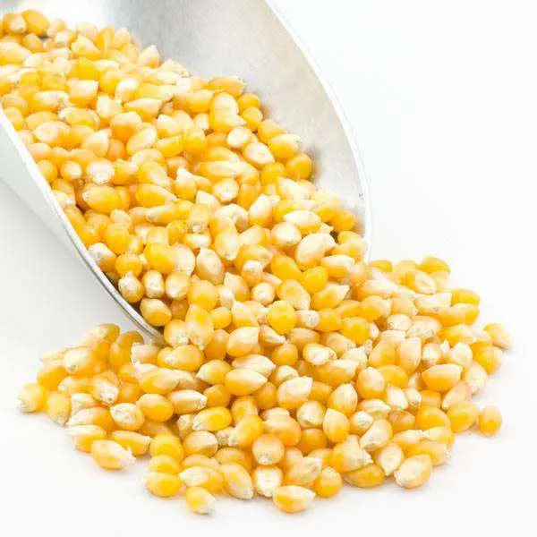 Popcorn, Yellow variant