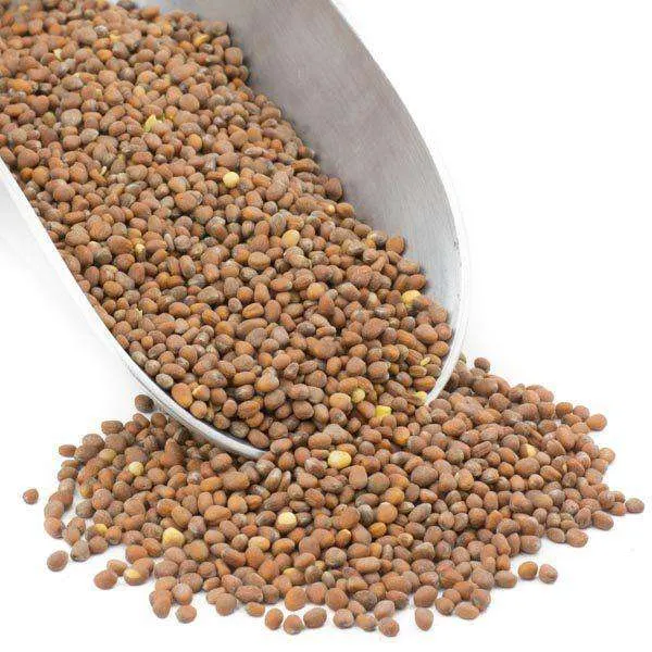 Radish Seeds, Organic variant