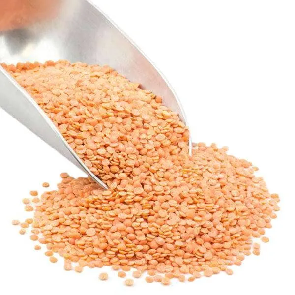 Red Lentils, Split, Organic variant