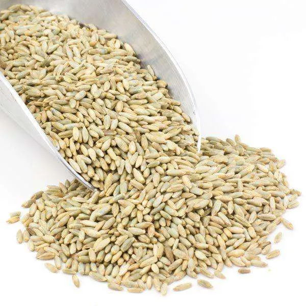 Rye Berries, Organic variant