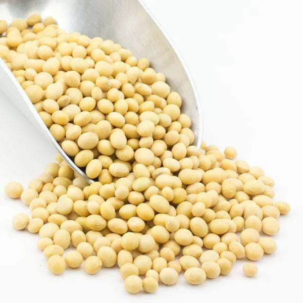 Soy Beans, Organic variant