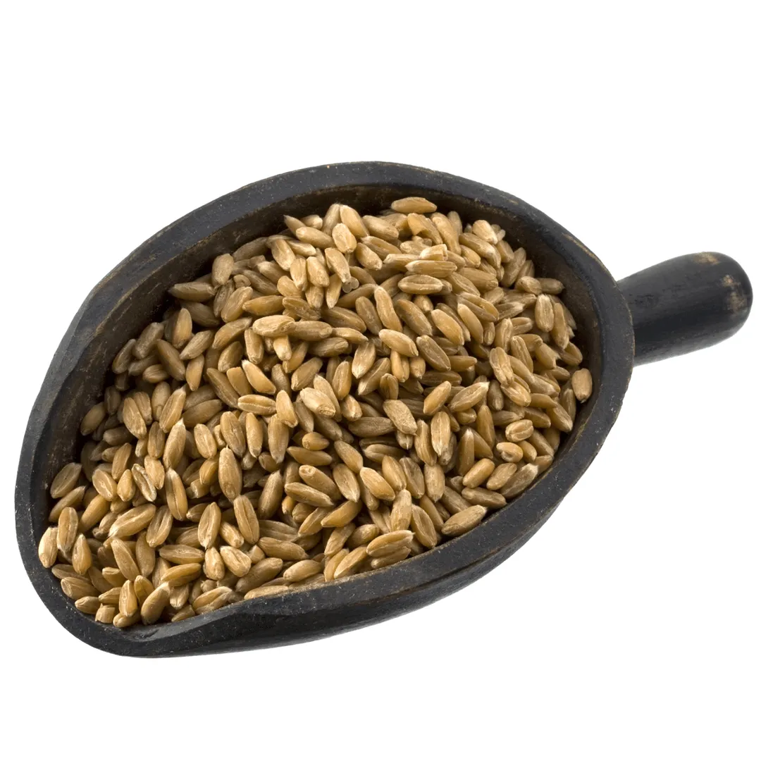 Spelt Berries, Organic variant