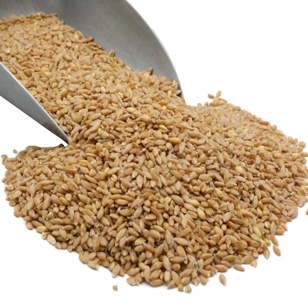 Wheat Berries, Bronze Chief (Red), Certified Glyphosate Free variant