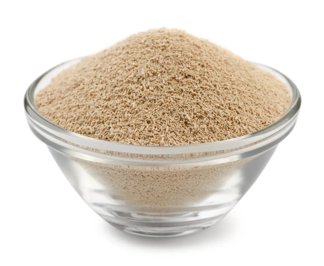 Yeast, SAF-Instant Red, Baking variant