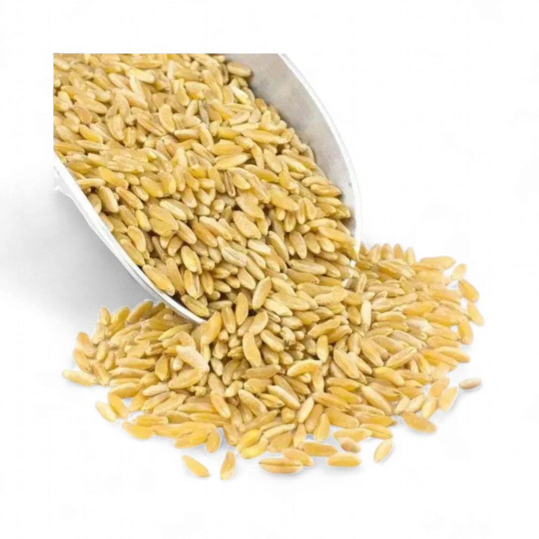 Kamut Grain, Organic