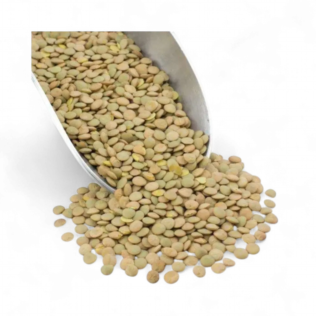 Green Lentils