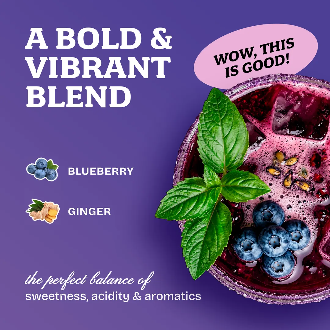 Craft Cartel Blueberry & Ginger Cocktail Syrup Mixer | 16oz | Craft Cocktail & Mocktail Mix