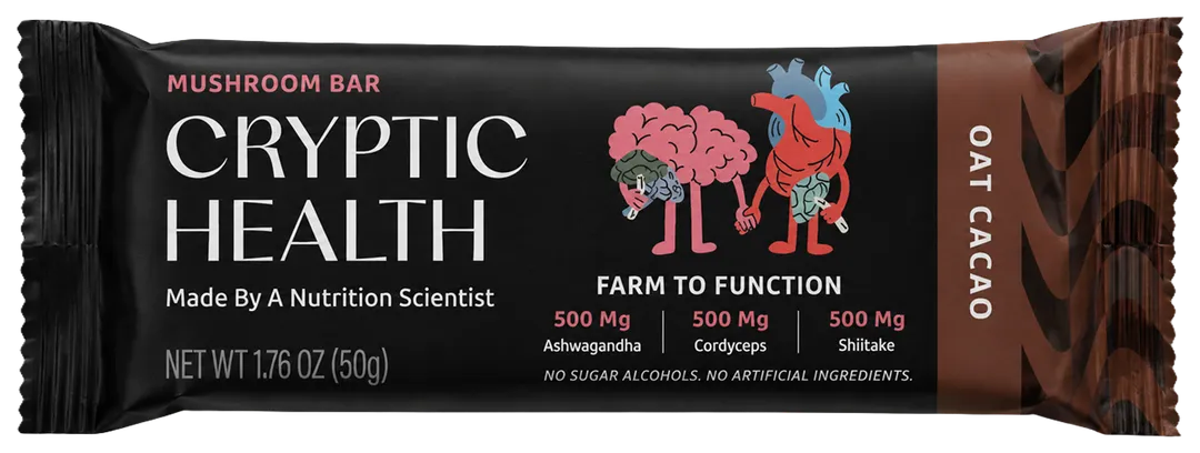 Oat Cacao Mushroom Bar – 12ct Case | Functional, Plant-Based