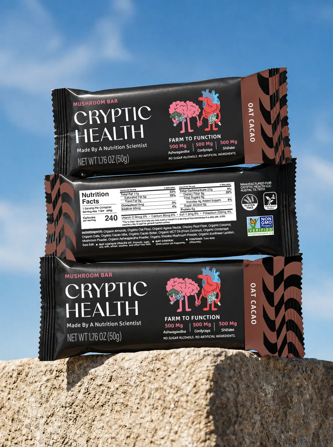 Oat Cacao Mushroom Bar – 12ct Case | Functional, Plant-Based