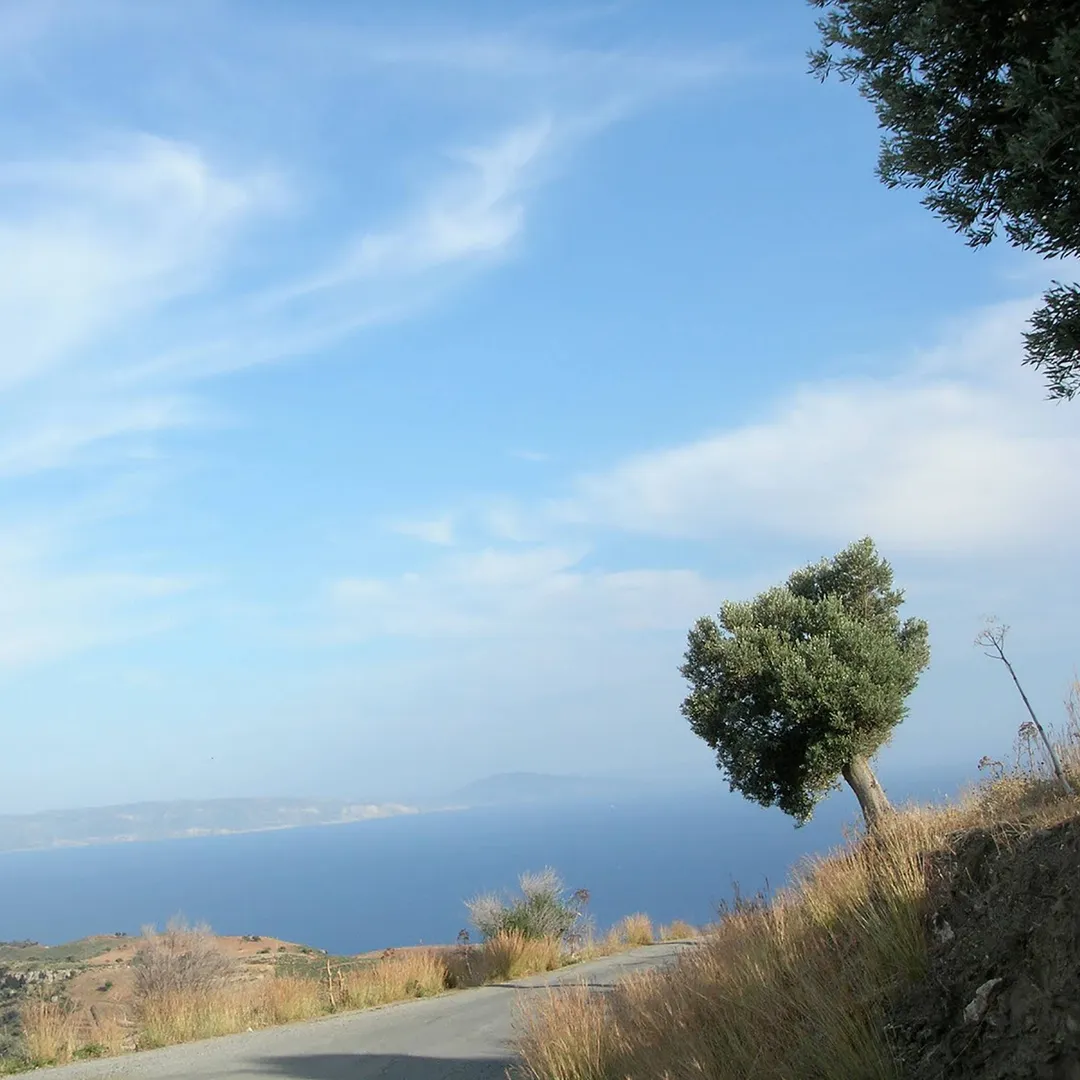 Aegean Salt