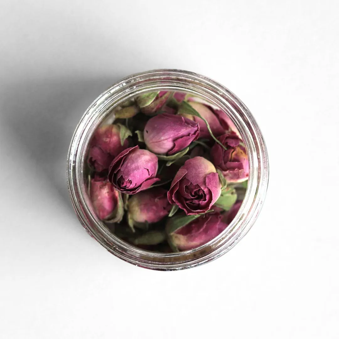 Damask Rose Buds