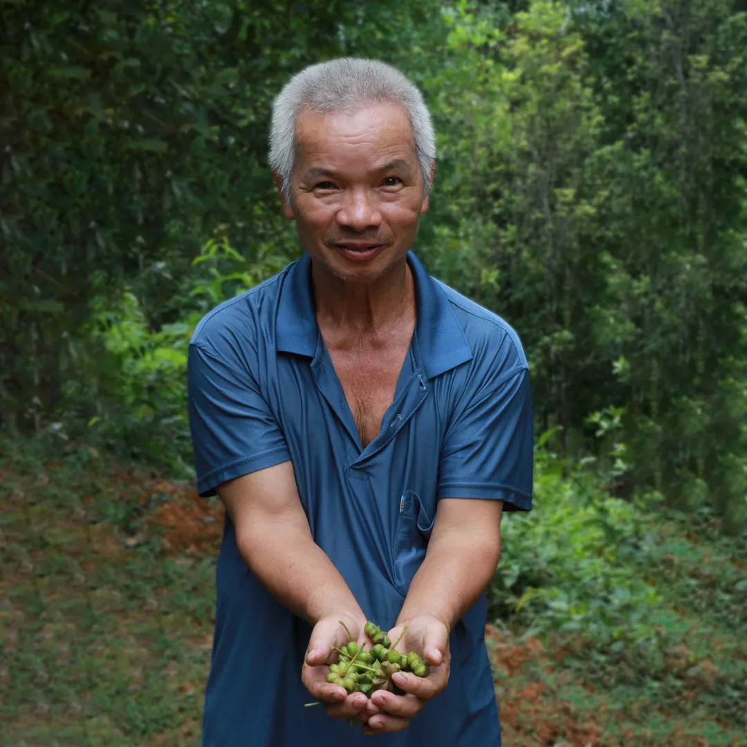 Vietnamese Star Anise