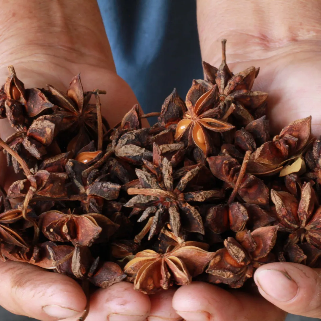 Vietnamese Star Anise