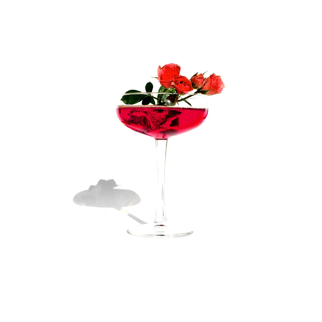 Curious Elixir No. 9 Booze-Free Cocktails (12 bottles)
