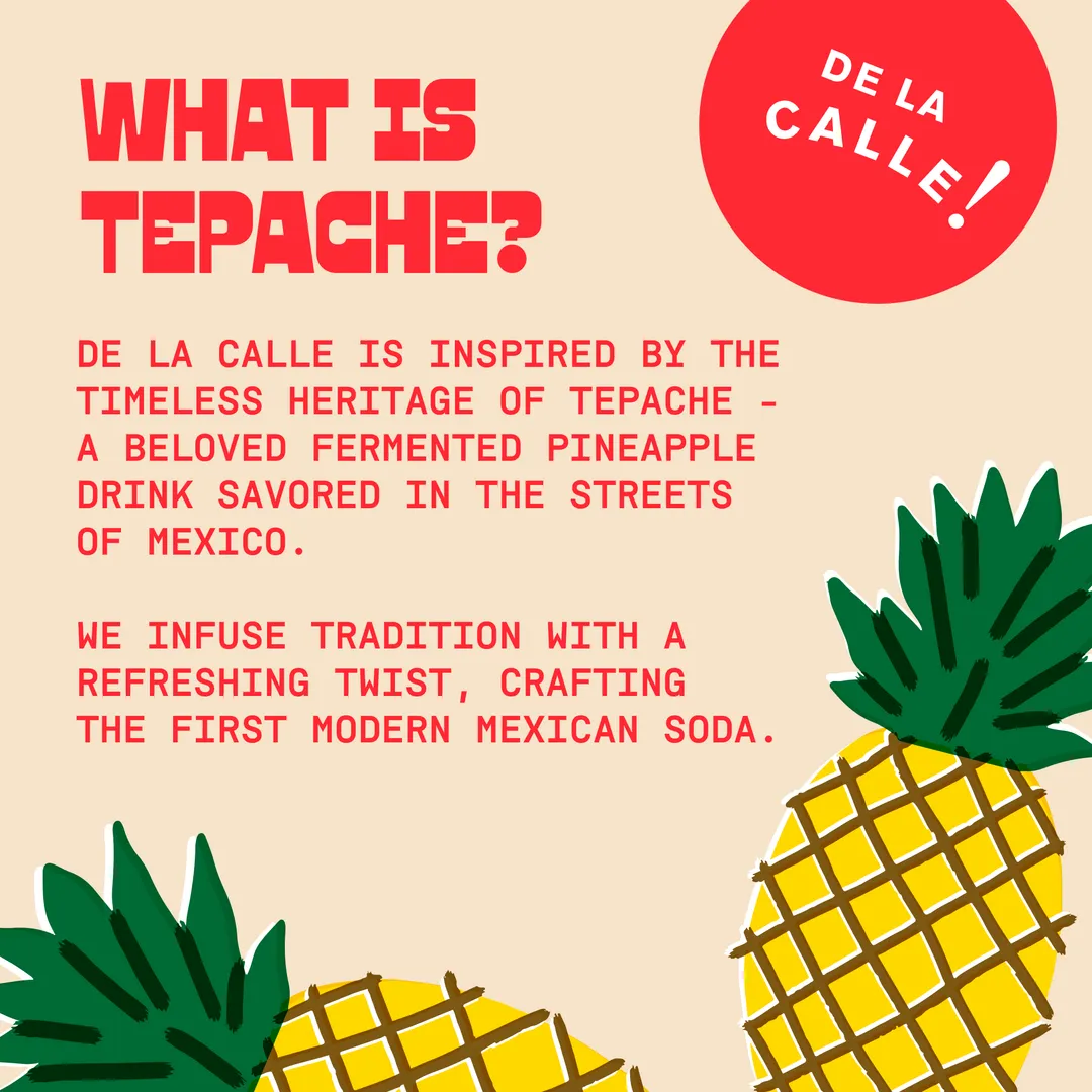 De La Calle Mango Chili Tepache Mexican Soda (12 Pack)