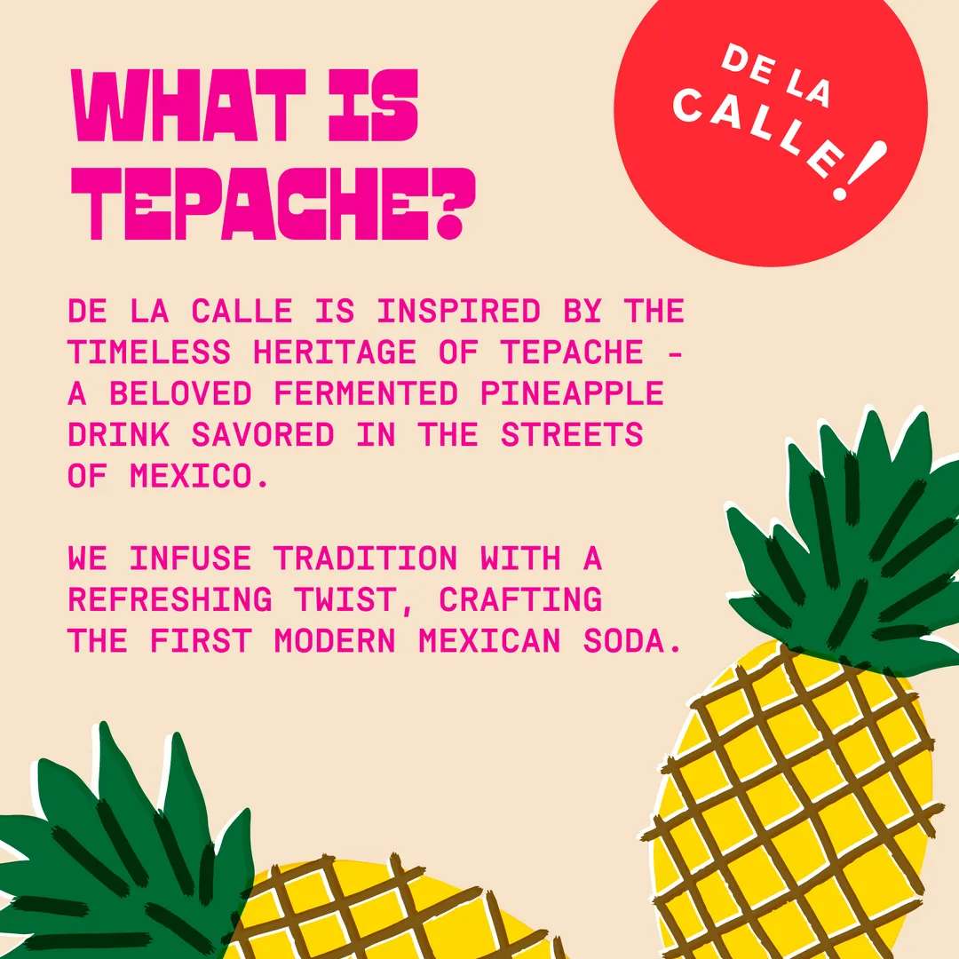 De La Calle Cactus Prickly Pear Tepache Mexican Soda (12 Pack)