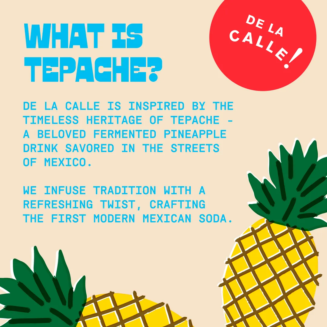 De La Calle Tropical Ponche Tepache Mexican Soda (12 Pack)