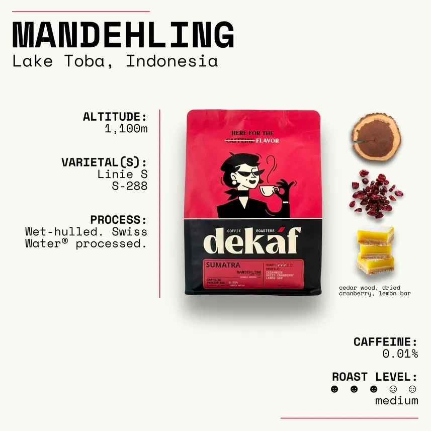 Sumatra Mandehling (Whole Bean - 5 lb)