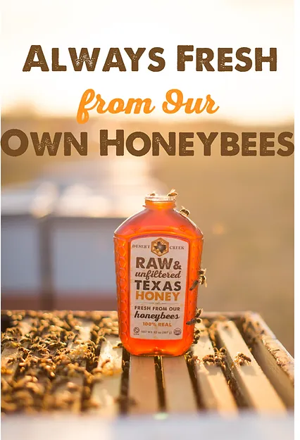 European Style Raw, Creamed Honey 22oz by Honest Raw
