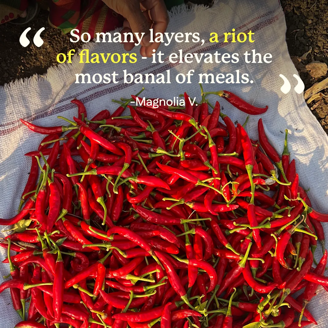 Guntur Sannam Chili Powder (Medium Heat) - Single-Origin