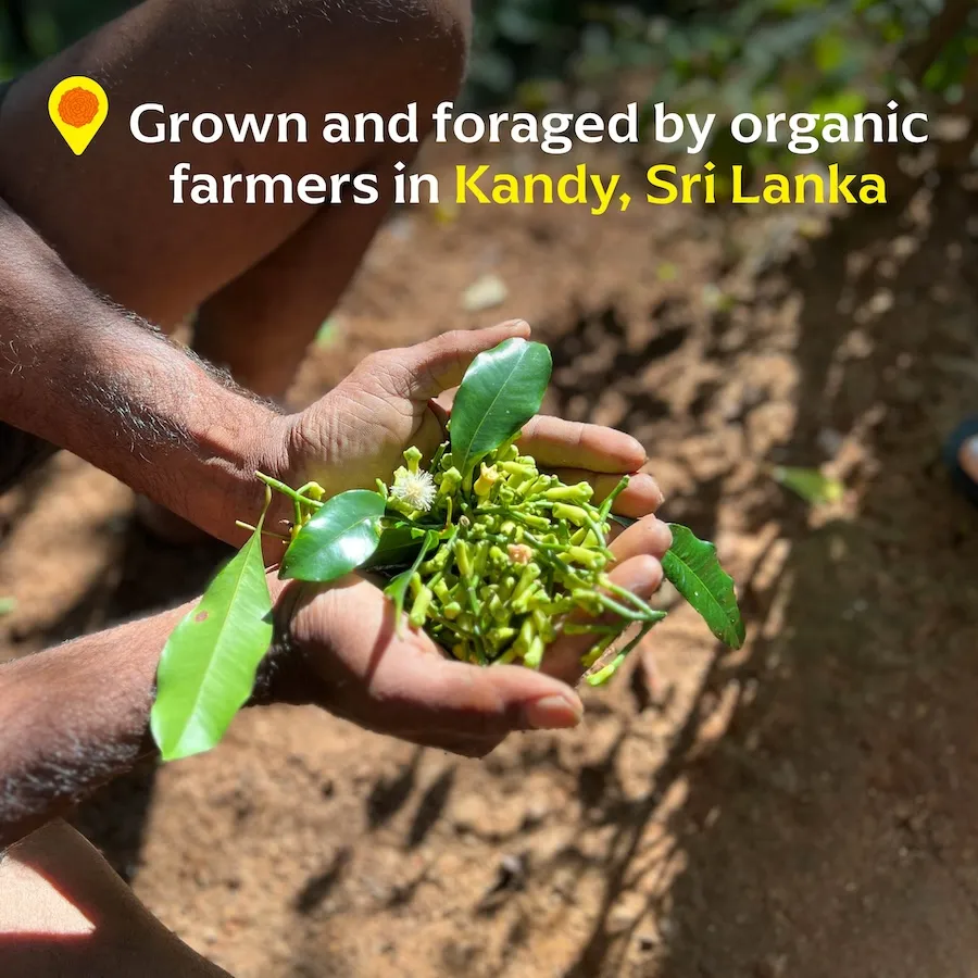 Kandyan Cloves (Whole) -  Single-Origin Spice