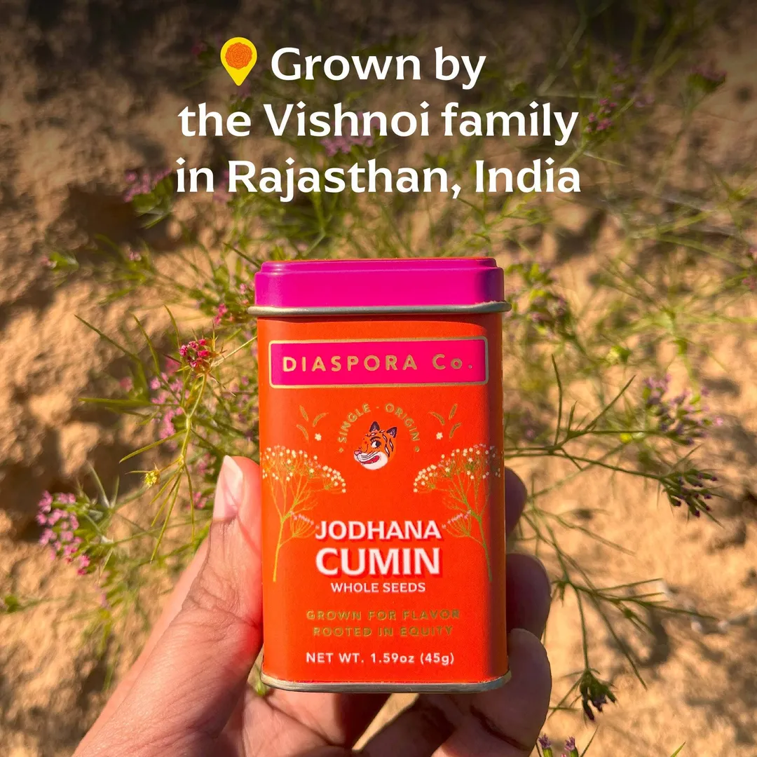 Jodhana Cumin (Whole Seeds) - Single-Origin Spice (215g Chef Tin)
