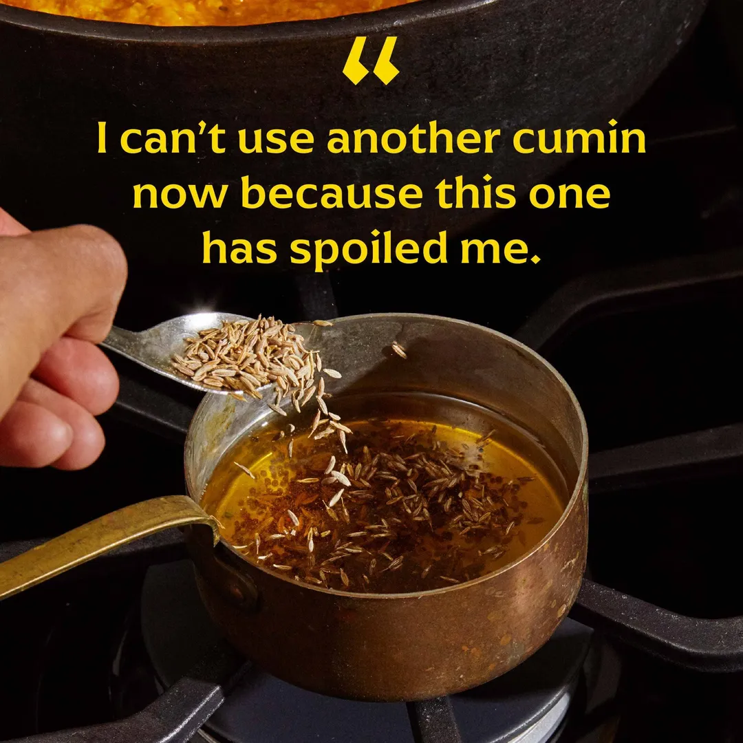 Jodhana Cumin (Whole Seeds) - Single-Origin Spice (215g Chef Tin)