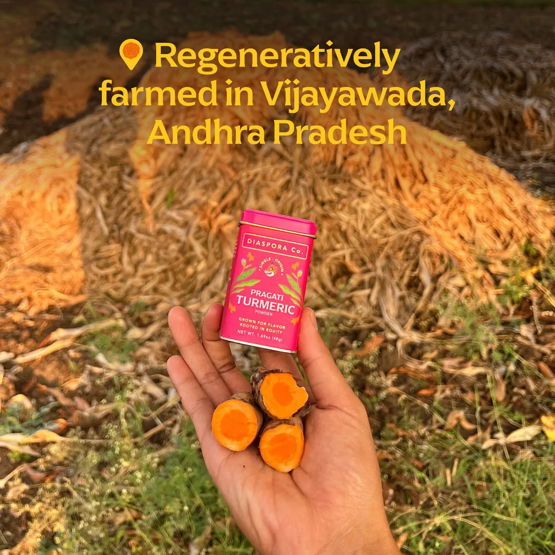Pragati Turmeric (Powder) - Single-Origin Spice (185g Chef Tin)